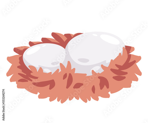 Two eggs in bird nest or chicken hen vector illustration