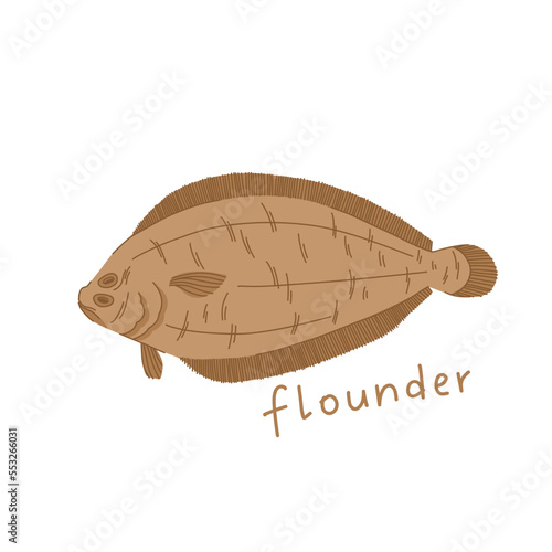 Flounder illustration in cartoon style. Sea fish isolated on white background.