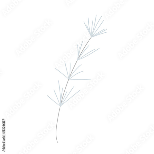 Floral element on white background 