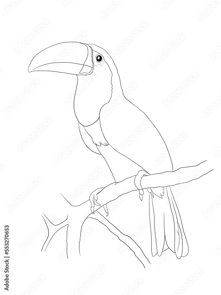Black and white parrot sitting on tree. Idea for stickers, print, art, books, cartoon, graffiti, icon Black and white parrot sitting on tree. Idea for stickers, print, art, books, cartoon, graffiti, icon