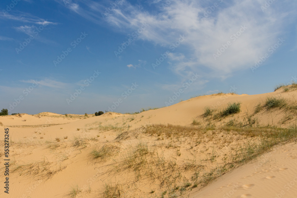 View of the Oleshkiv sands - the Ukrainian desert near the city of Kherson. Ukraine