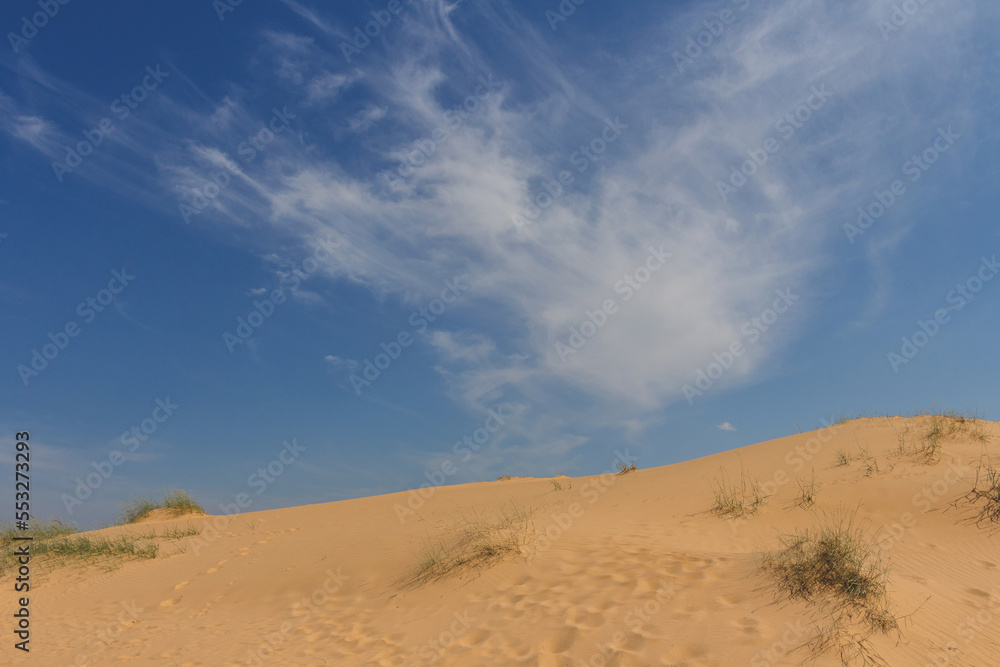 View of the Oleshkiv sands - the Ukrainian desert near the city of Kherson. Ukraine