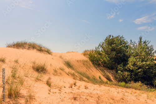 View of the Oleshkiv sands - the Ukrainian desert near the city of Kherson. Ukraine