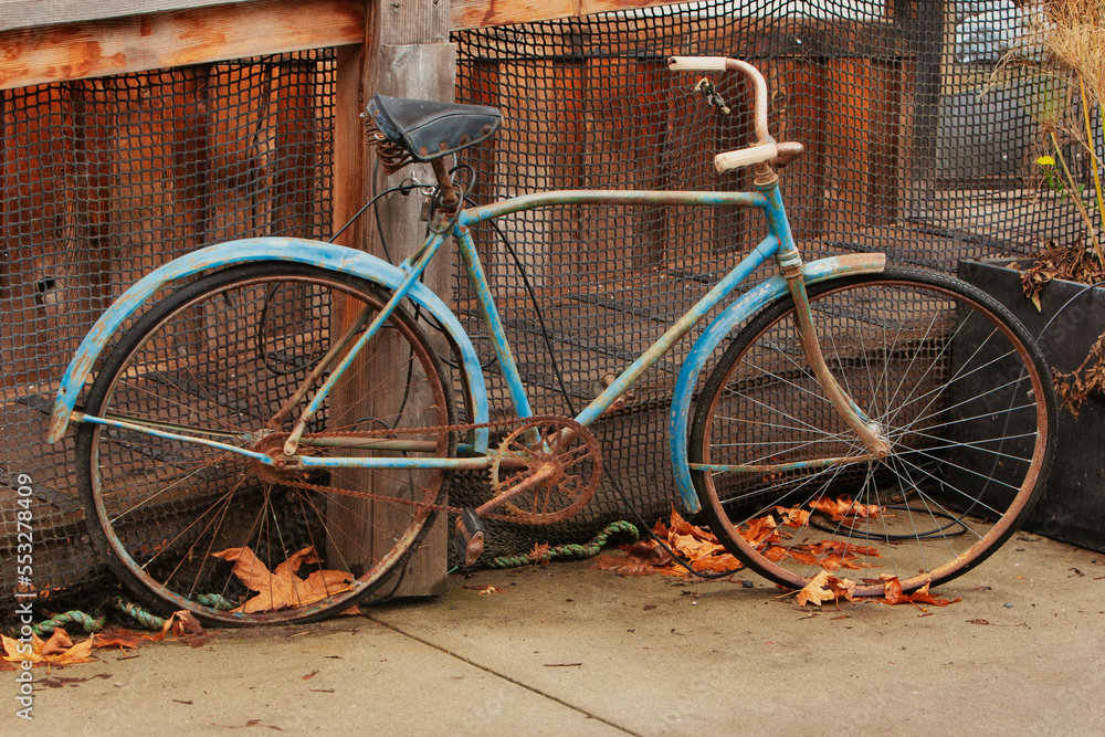 Obraz premium vintage bicycle