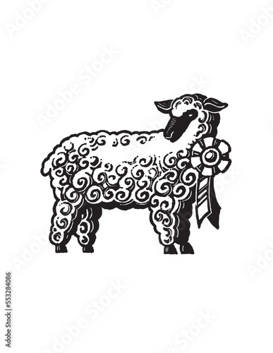 illustration of sheep