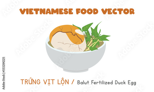 Vietnamese balut fertilized duck egg flat vector. Trung Vit Lon clipart cartoon. Asian food. Vietnamese cuisine. Vietnamese exotic food vector design