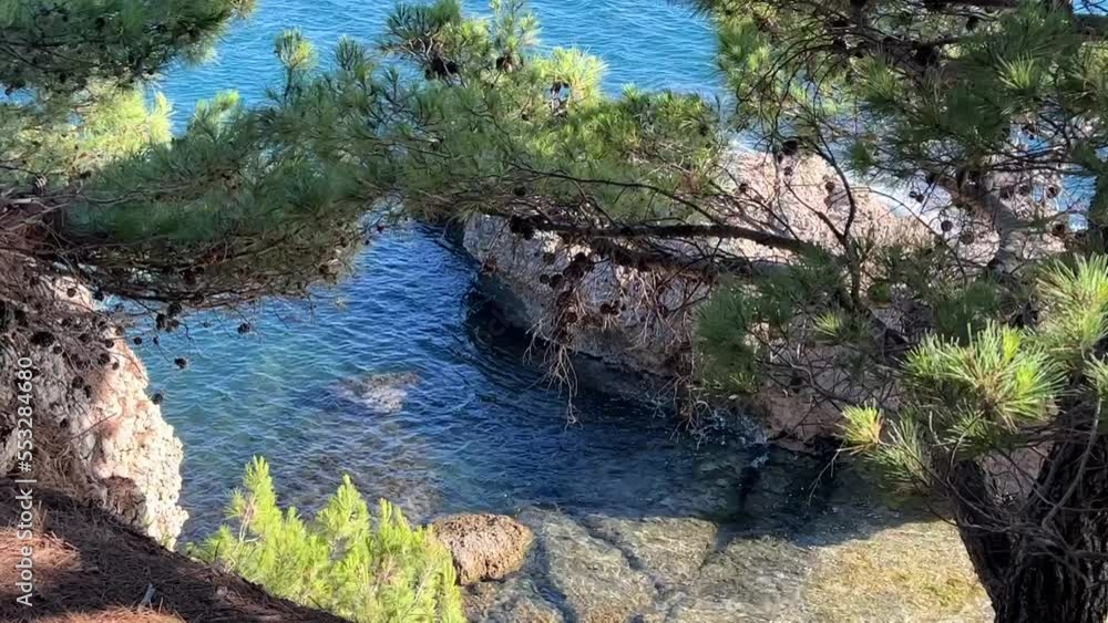 Pine trees over rocky coast of Mediterranean sea at summer. Pine trees over rocky coast of Mediterranean sea at summer.