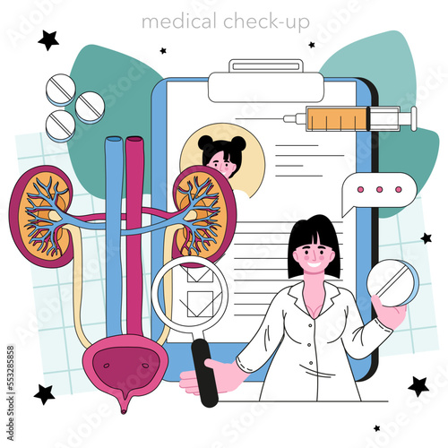 Urologist concept. Urinary system examination, kidney and bladder