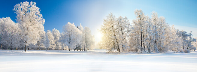 Panorama of beautiful winter park