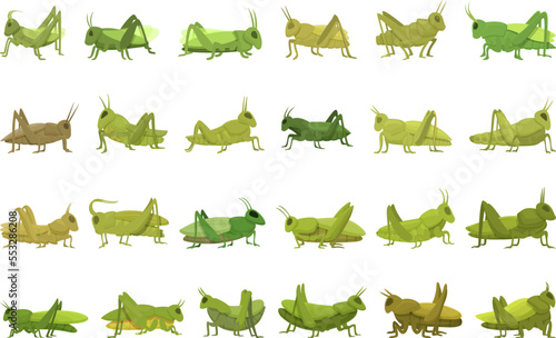 Grasshopper icons set cartoon vector. Bug animal. Nature insect