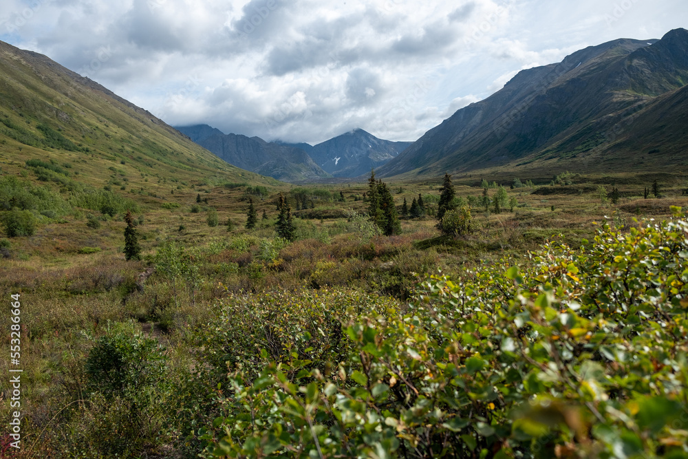 Obraz premium Alaska landscape