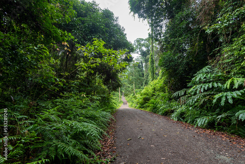 Road to Danum Valley primary rainforest in Lahad Datu Sabah Borneo Malaysia photo
