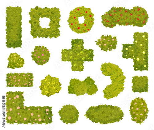 Green Bushes and Shaped Shrubs as Decorative Park Flora Big Vector Set