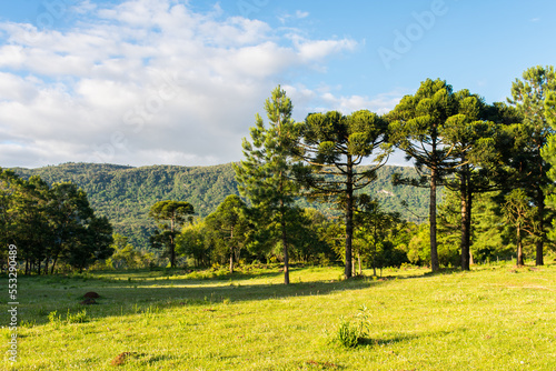 A view of the countryside (Carapina valley) in Sao Francisco de Paula, Brazil