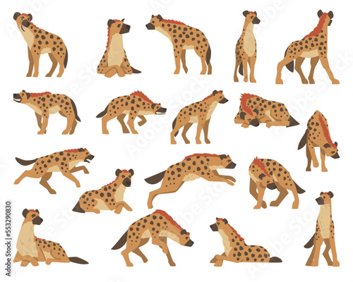 Hyenas as Carnivore Mammal with Spotted Coat and Rounded Ears Big Vector Set