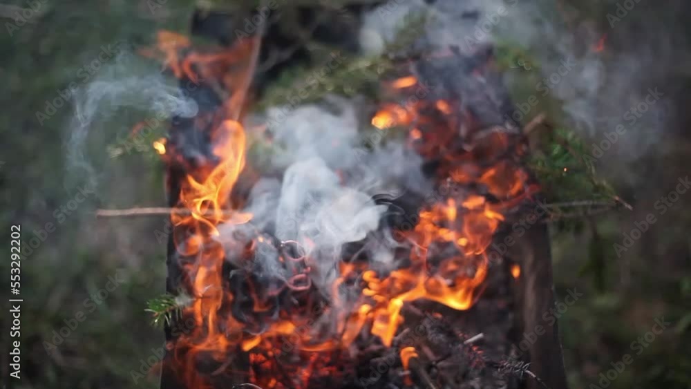 fire in the garden fire in the garden