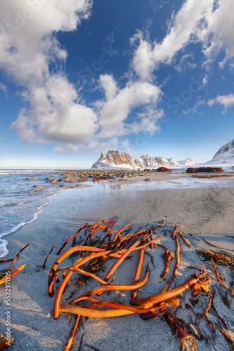 Amazing winter scenery on Uttakleiv beach at morning photo