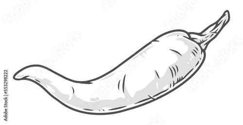 Chili pepper colorful element detailed