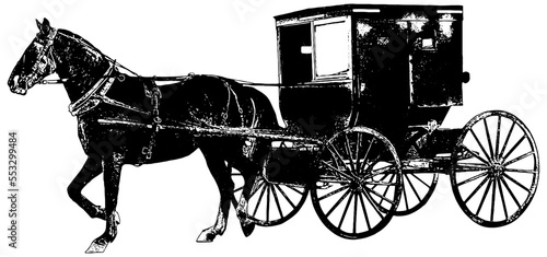 Amish horse and buggy 