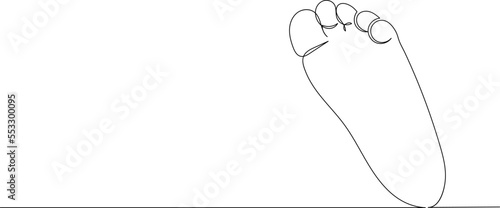 foot sketch, continuous line drawing, vector
