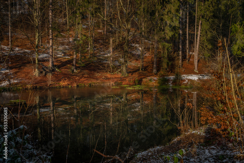 Forest deep small pond on Jizersky creek in Liberec city in winter day