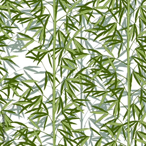 Seamless pattern background of green bamboo stem with leaves isolated on white