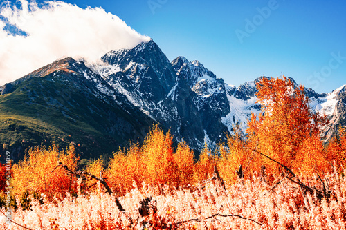 Snowy High Tatras with colorful autumn trees. Hiking from zelene lake to cottage plesnivec near Belianske Tatry mountain  Slovakia. photo