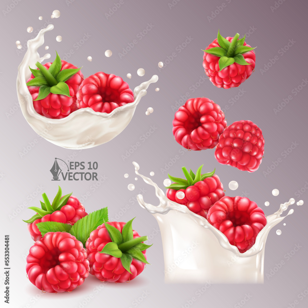 Realistic vector set of fresh raspberries in milk splash or yogurt with drops, ripe berries, natural milk splash, 3d illustration