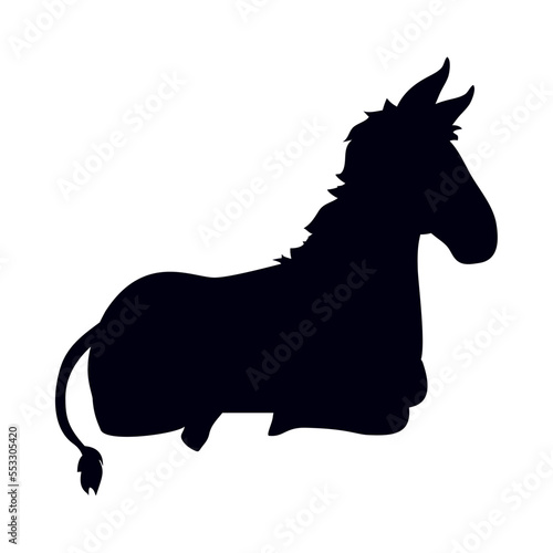 Donkey laying down