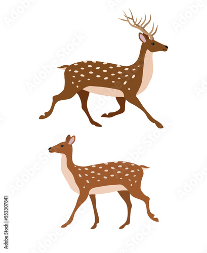 Vector two flat hand drawn deer isolated on white background