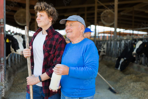 Elderly farmer and his assistant grandson with bottle of milk on the background of cows in a stall