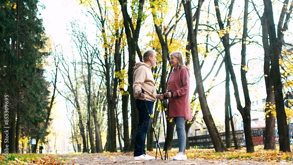 Handsome grey-haired sporty retired mature man talking speaking with active pretty beautiful woman in sports clothes in autumn park. Good-looking elderly couple using trekking poles standing. Handsome grey-haired sporty retired mature man talking speaking with active pretty beautiful woman in sports clothes in autumn park. Good-looking elderly couple using trekking poles standing.