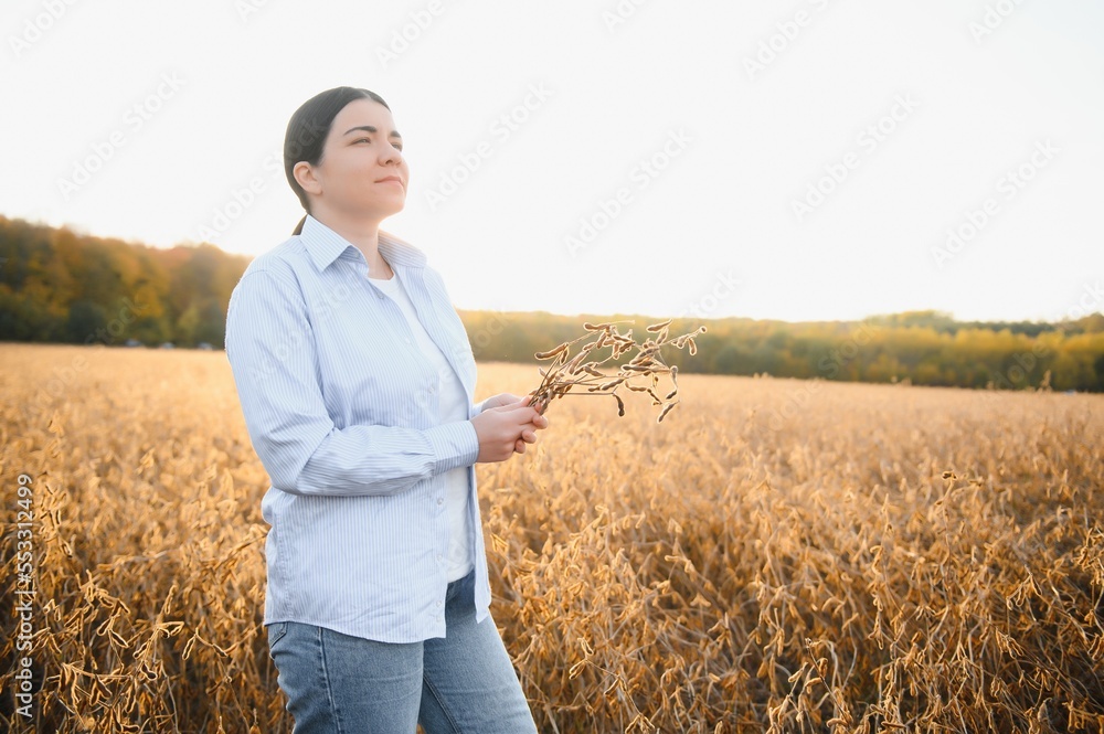 Young farmer woman standing in soy field in summer time, holding tablet and monitoring crop growth Young farmer woman standing in soy field in summer time, holding tablet and monitoring crop growth