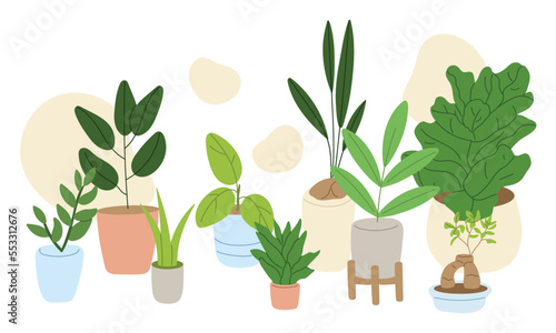 Potted house indoor plants set. Different foliage decor. Plants for house and office interior decoration. Flat vector illustration