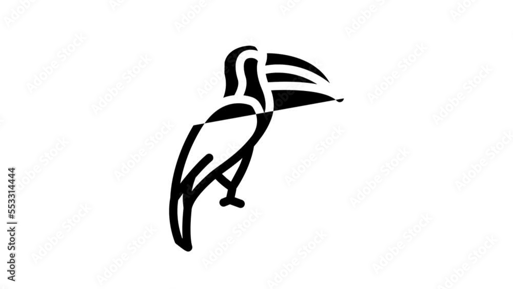 toucan bird line icon animation toucan bird line icon animation