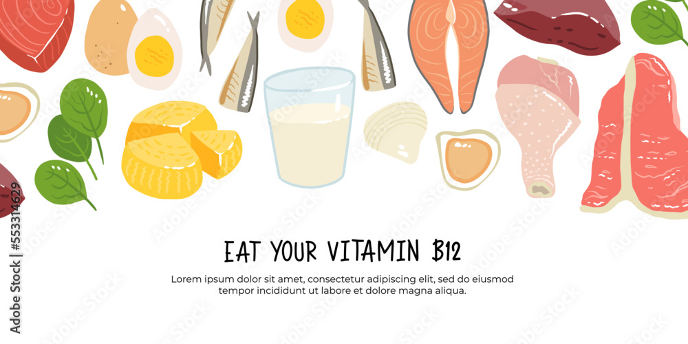 Collection of vitamin B12 food. cheese, eggs, clams, beef, turkey, milk