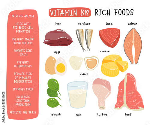 Collection of vitamin B12 food. cheese, eggs, clams, beef, turkey, milk, liver, spinach, sardines, tuna, salmon. Dietetic products, organic natural nutrition. Flat vector cartoon illustration
