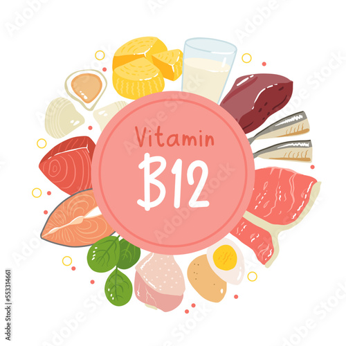 Collection of vitamin B12 food. cheese, eggs, clams, beef, turkey, milk, liver, spinach, sardines, tuna, salmon. Dietetic products, organic natural nutrition. Flat vector cartoon illustration