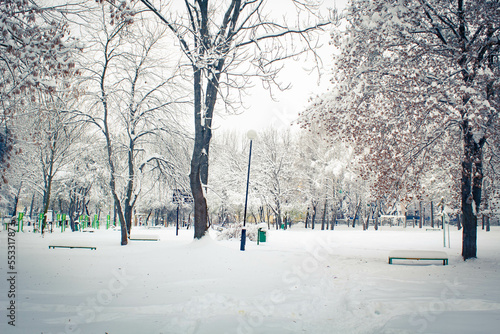 Miejski park pokryty śniegiem