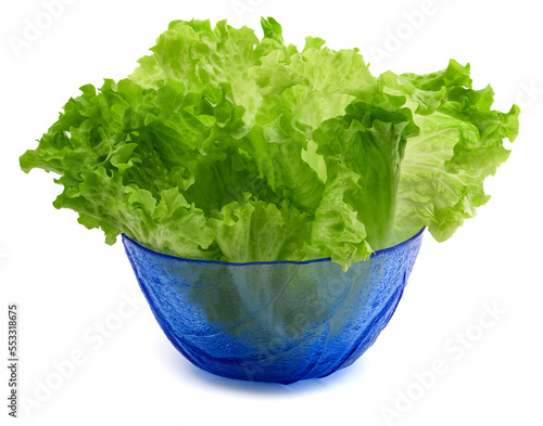 Photos Lettuce salad in a bowl