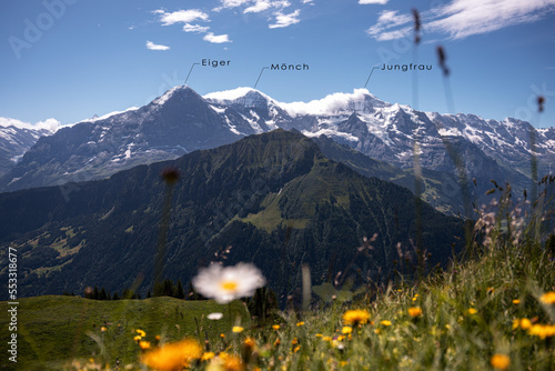 Schweizer Alpen auf der Schynige Platte