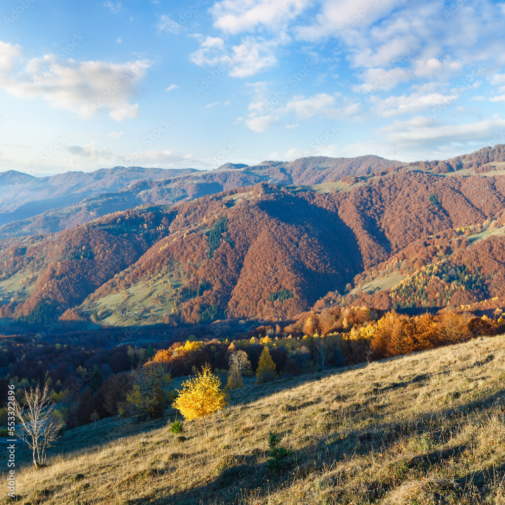 Morning fog in autumn Carpathian. Mountain landscape with colorful trees on slope.