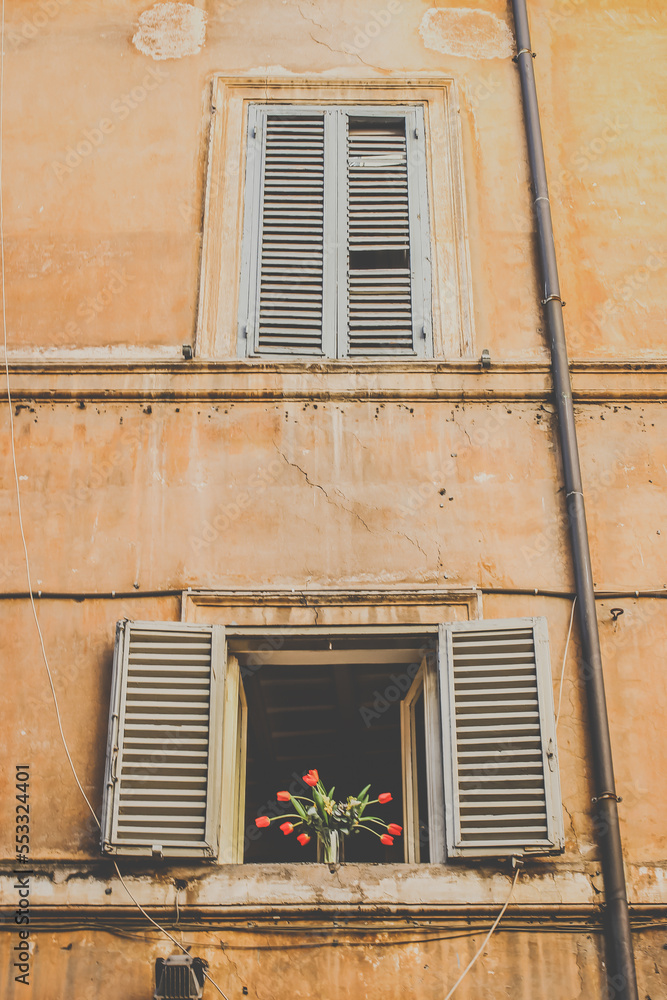 Old windows with wooden shutters in the city centre of Rome, a vase with red flowers standing in a window , a black rain water gutter running down the wall 