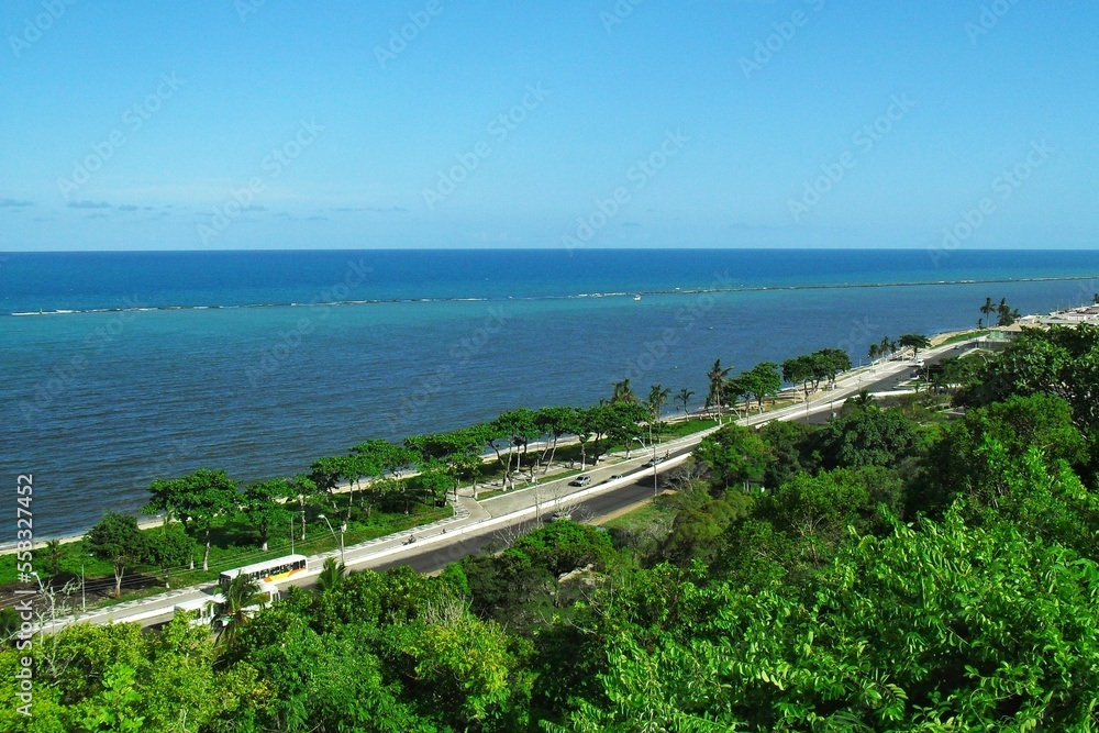 view from the top of the breakwater with beach and seaside vegetation
