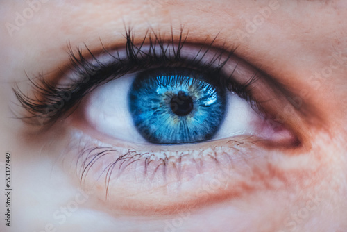 close up of a female blue eye with long black eyelashes