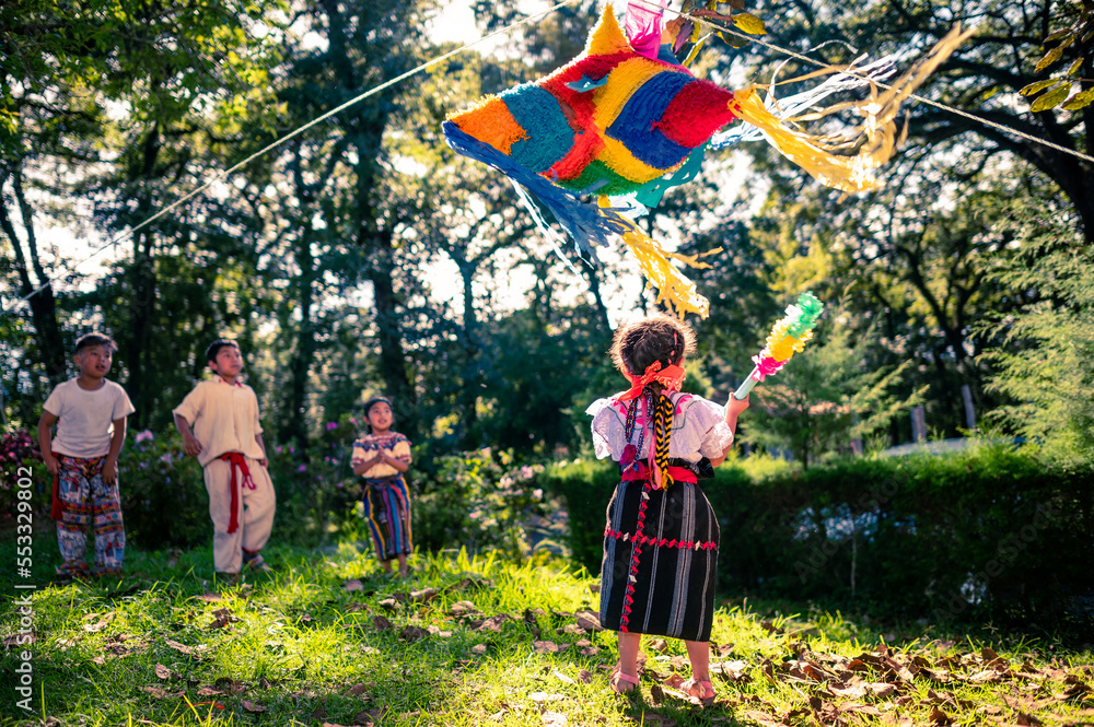 La niña va a romper la piñata por su cumpleaños en un parque. La niña va a romper la piñata por su cumpleaños en un parque.