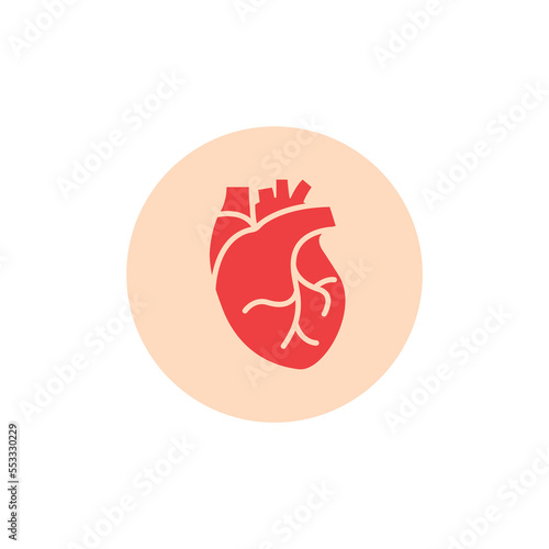 Human heart medical vector desease cardiovascular organ anatomy. Healthy human heart organ shape flat icon.