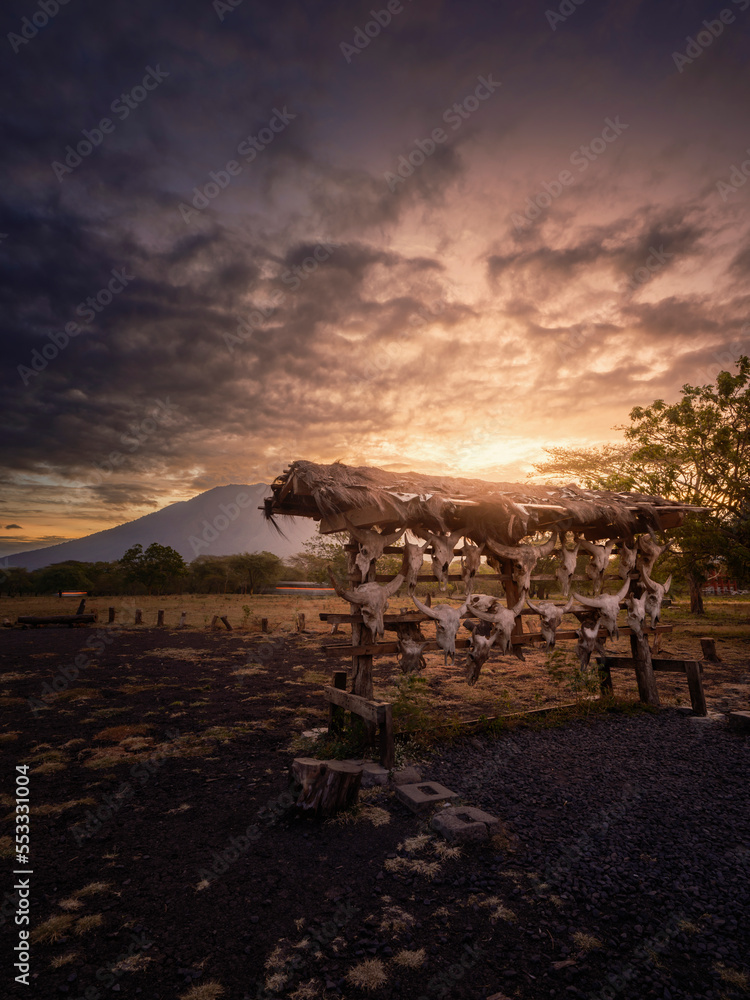 Baluran national park at sunset located in East Java, Indonesia