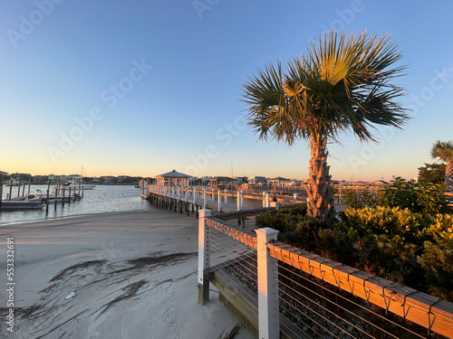 Palmtree at sunset photo