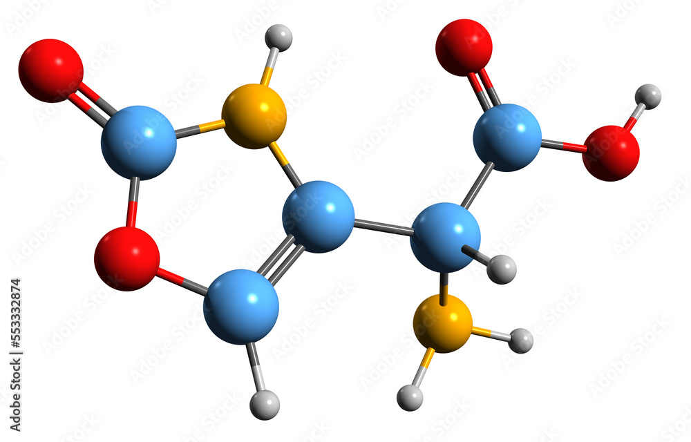 3D image of Muscazone skeletal formula - molecular chemical structure of toxic chemical compound isolated on white background
3D image of Muscazone skeletal formula - molecular chemical structure of toxic chemical compound isolated on white background